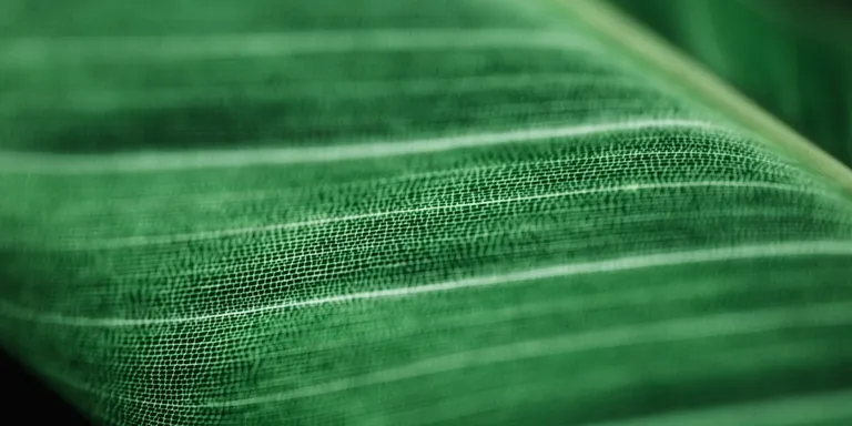 What_is_Green_IT_–_Strategies_and_trends_lined_out_image-min.jpg